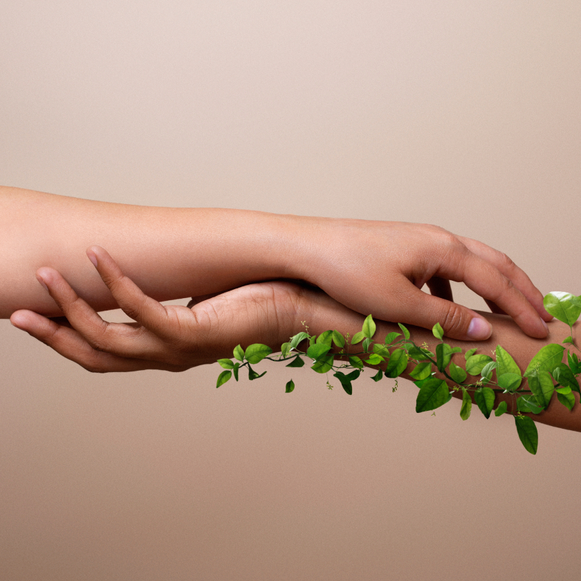 Barış, Adalet ve Güçlü Kurumlar