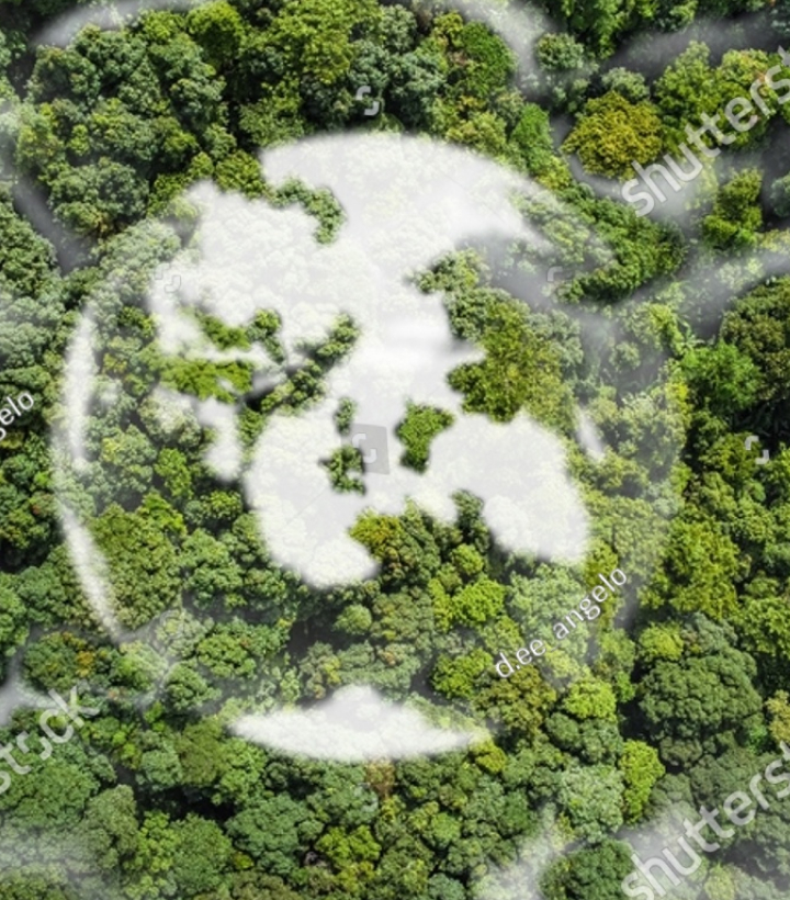 Responsible Production and Consumption